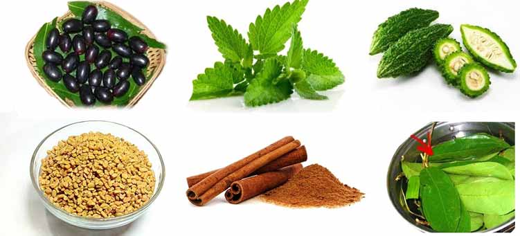 Home Remedies for Diabetes