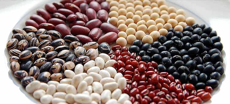 Are beans good for people with diabetes?