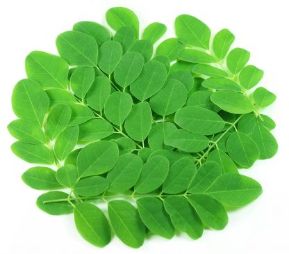 Deterring Diabetes with Moringa